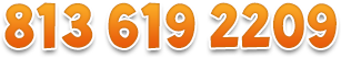 813 619 2209